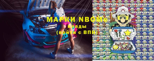 стафф Бронницы