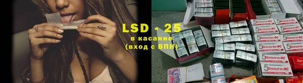 дживик Бородино