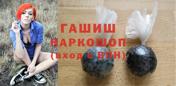 дживик Бородино