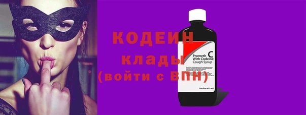дживик Бородино