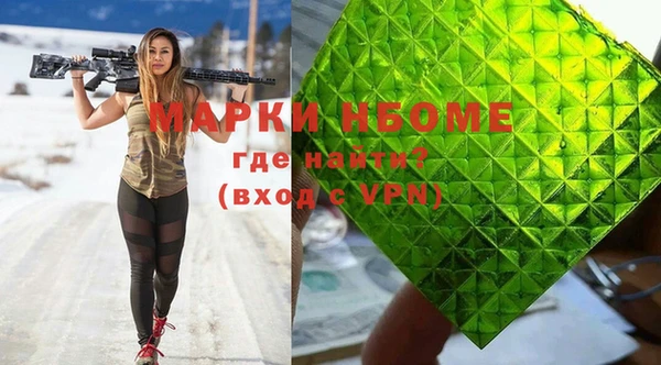 дживик Бородино