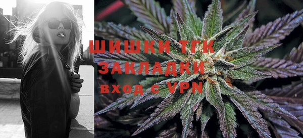 дживик Бородино