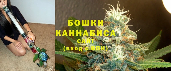 дживик Бородино