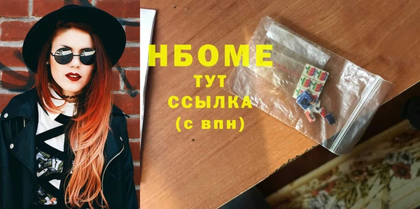 дживик Бородино