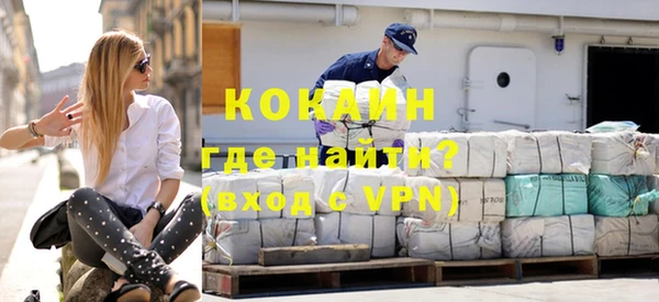 дживик Бородино