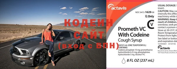 дживик Бородино