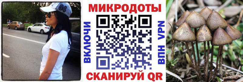 Псилоцибиновые грибы Cubensis  где купить наркотик  Орехово-Зуево 